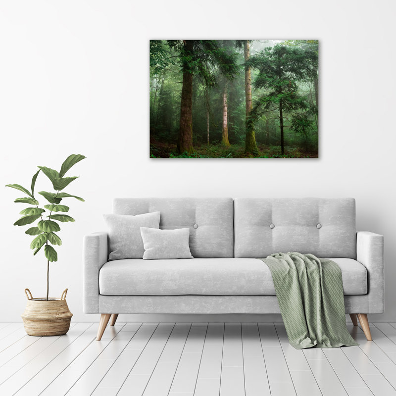Fog In The Forest - Print