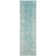 Anastacia Performance Oriental Rug
