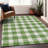 Premium Machine Washable Prisco Green Rug-1625655775