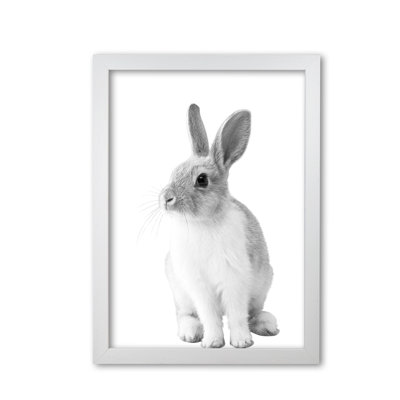 Bunny - Print