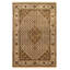 Oriental Area Rug