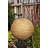 Stotler 12'' Solar Powered Integrated LED Globe Lantern-24127335