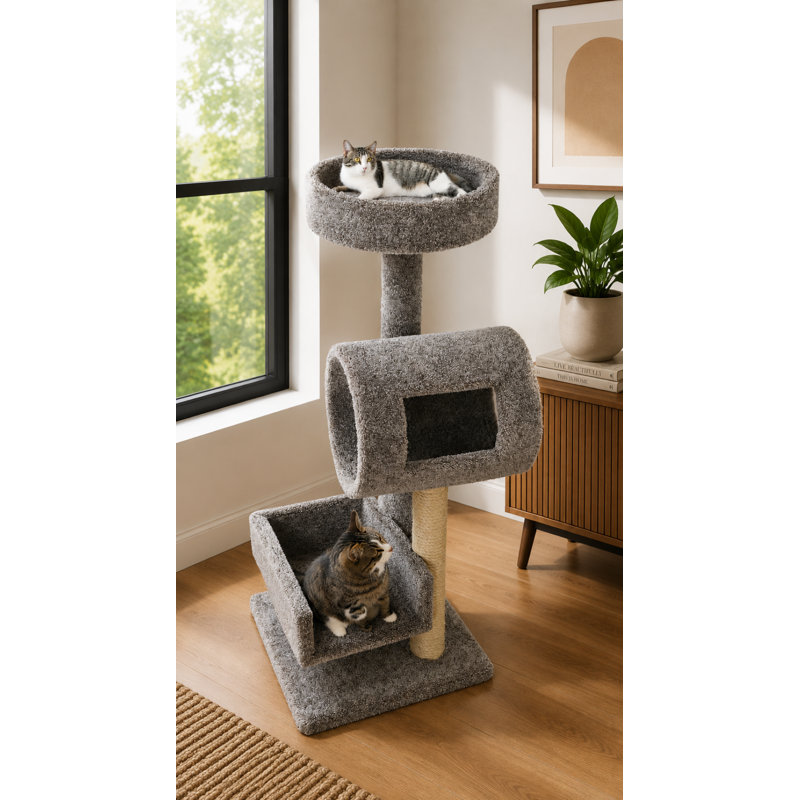 Grimpeur New Cat Condos