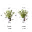 Plante de 16 po-1898302512