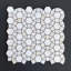 Thassos Mosaic Pattern Seashell Bathroom Wall Tile