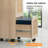 Aristeidis 15.75'' Wide 2 -Drawer Mobile File Cabinet