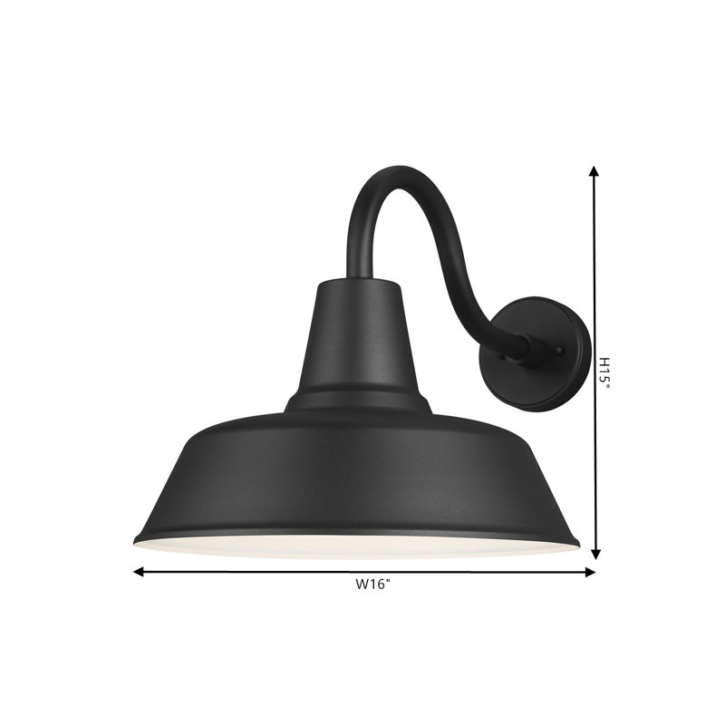Luminaire de grange d'extérieur Blakeston, H 15 po x l 16 po x P 16 po, Noir, Non