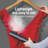 CHI 800 Watt Garment Steamer
