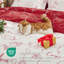 Ensemble de literie réversible Holiday Christmas-109947980