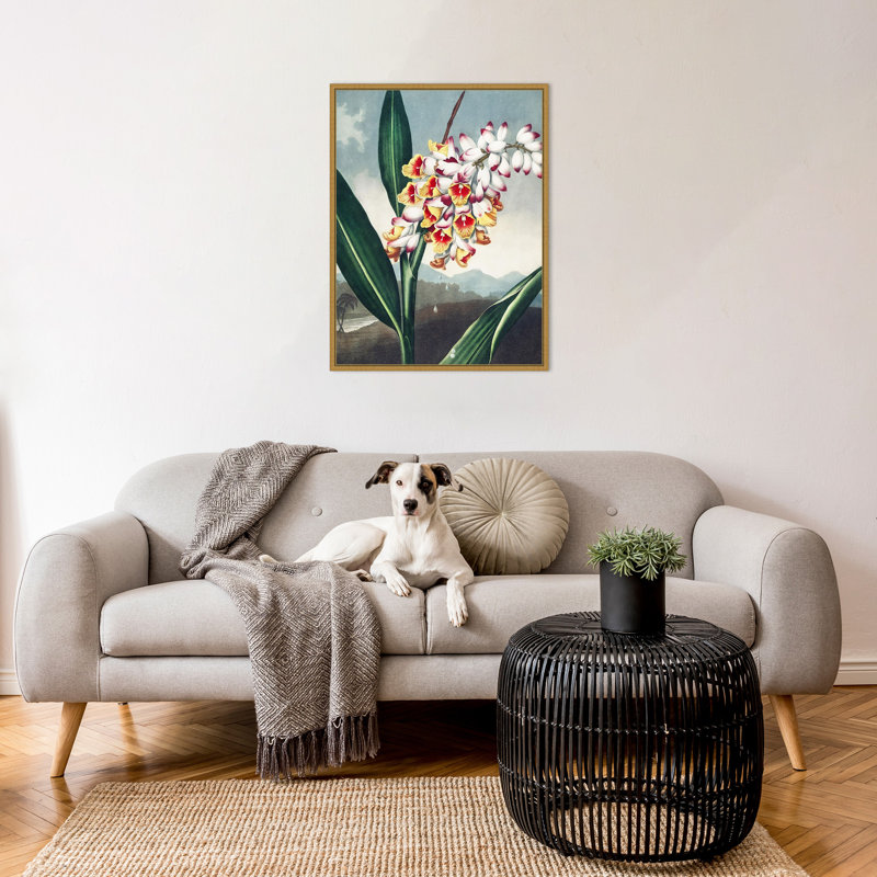 Temple of Flora VII par Dr. robert j. Impression sur toile encadrée Thornton, H 30 po x l 23 po