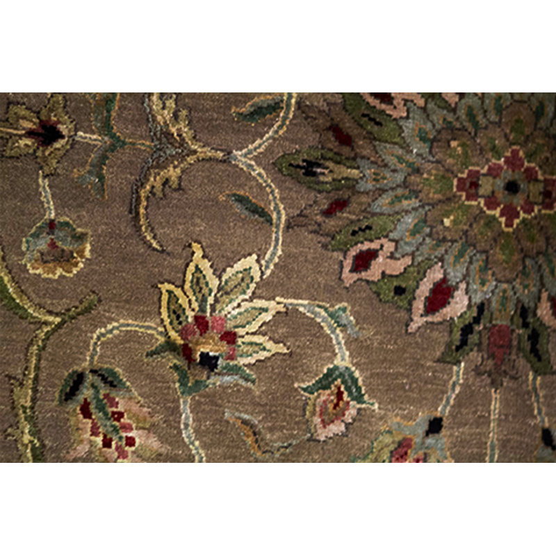 Dharma Oriental Area Rug in Brown