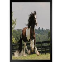 Steelside™ Cadeau cheval I - impression sur toile tendue et