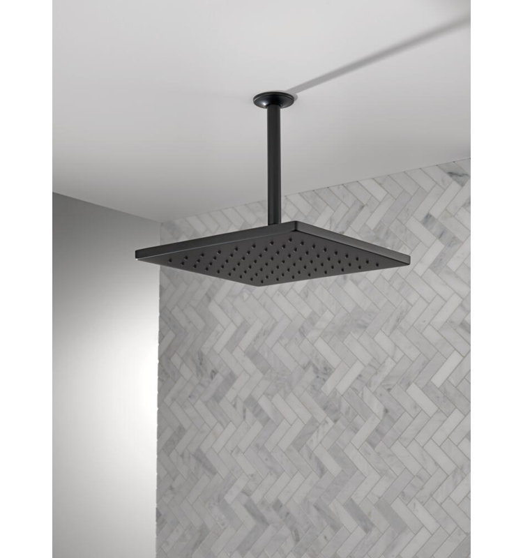 Delta Rain Adjustable Shower Head, Matte Black
