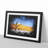 Trees in the Namibia Desert - Picture Frame Graphic Art-62807825-62807826