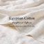 Oleg Heritage Egyptian Cotton Soft Absorbent Luxury Hand Towel-22181826