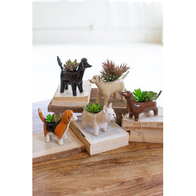 Ensemble de pots à fleurs en céramique pour animaux 5 à 6 po