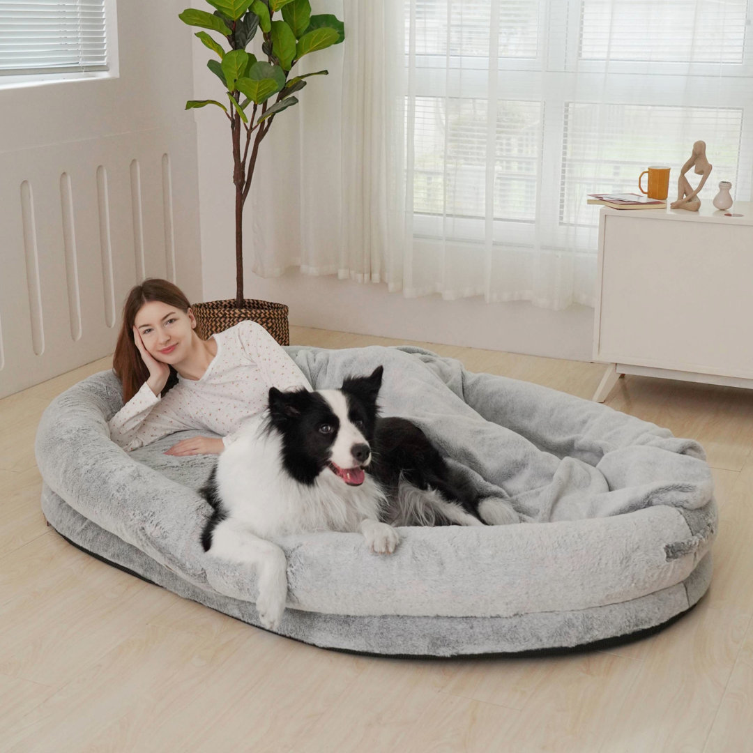 Lembo Oval Dog Bolster Bed For Pets & Humans Archie & Oscar™