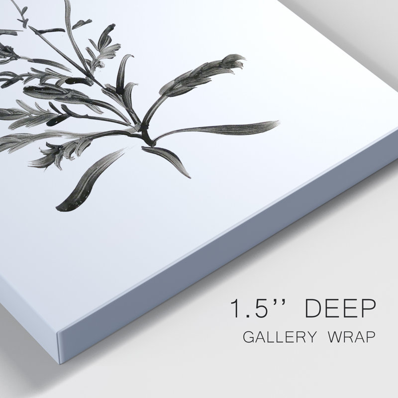 Inky Botanical I - ensemble de 2 peintures, H 12 po x l 16 po x P 1 po, Toile tendue
