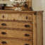 Commode Pioneer