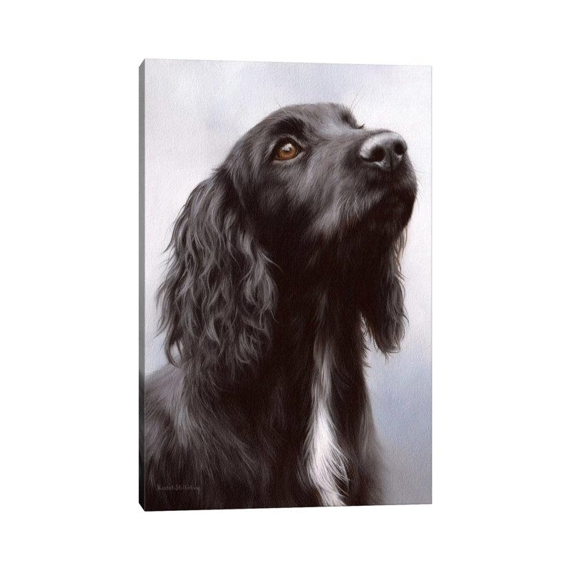 Cocker Spaniel by Rachel Stribbling - Gallery-Wrapped Canvas Giclée on Canvas, 66.04 cm H x 45.72 cm W x 1.91 cm D, Canvas