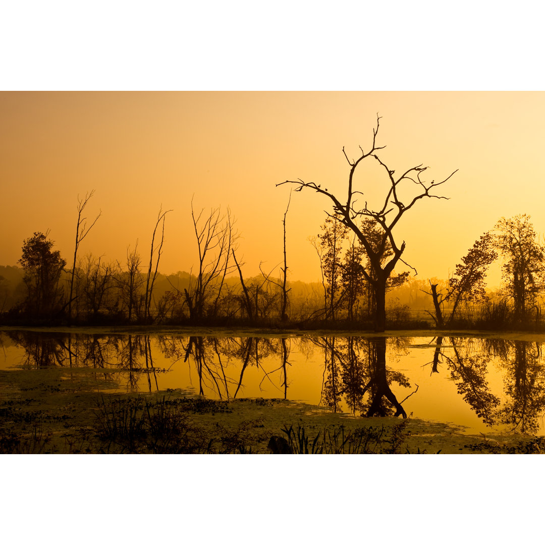 Brazos Bend At Dawn - Foto ohne Rahmen auf Leinwand