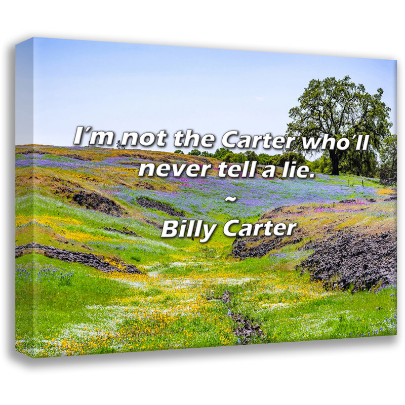 Billy Carter Citation: Je ne suis pas le Carter qui ne mentira jamais., H 26 po x l 32 po