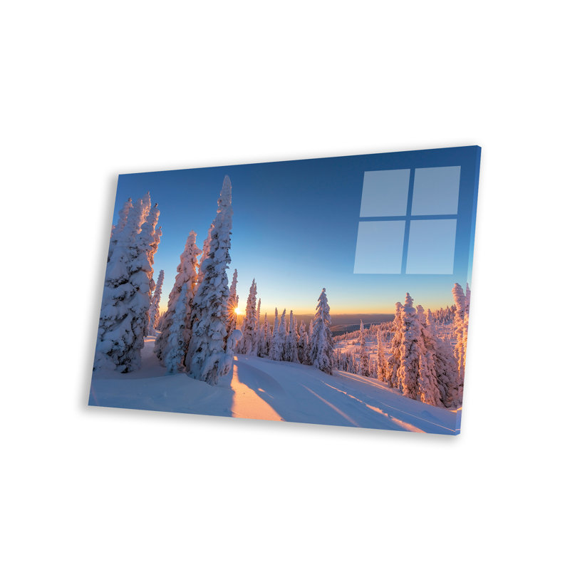 Arbin, soleil couchant à travers la forêt de fantômes de neige à Whitefish, Montana, États-Unis, sur plastique / acrylique par Chuck Haney, impression