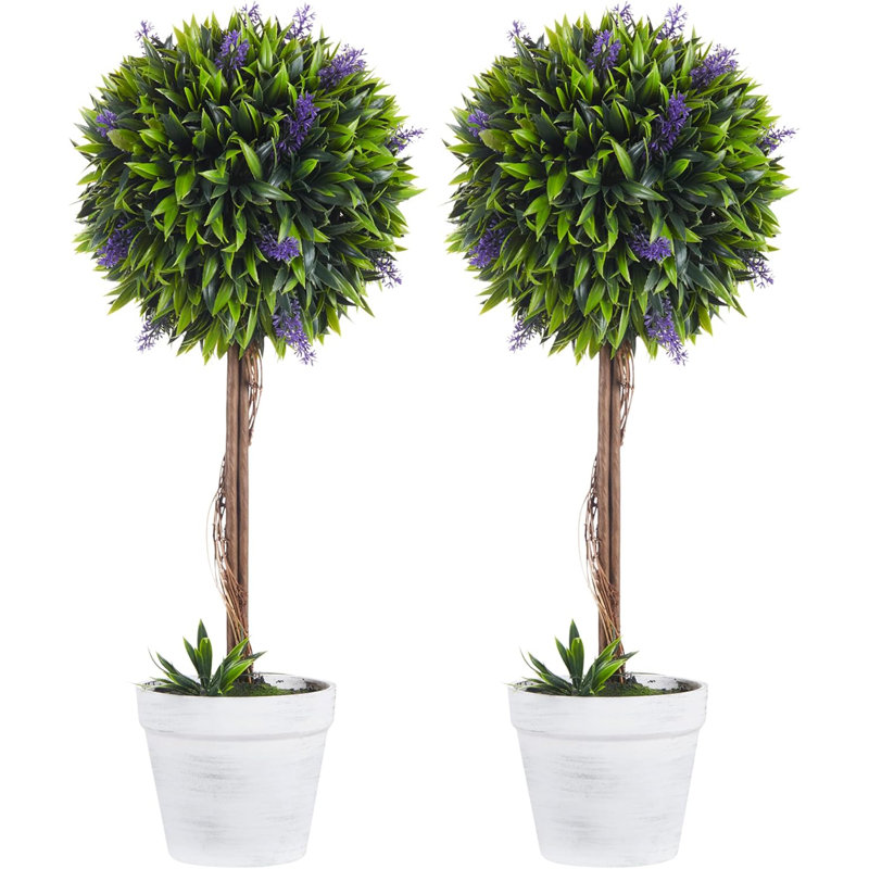 60cm Plant, Purple