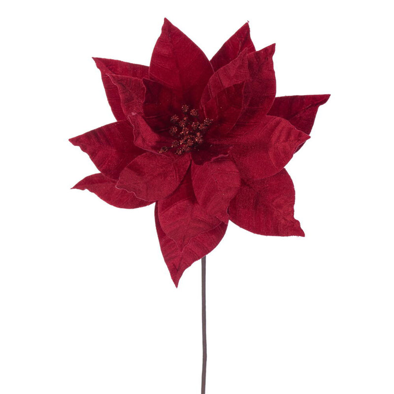 Tiges de poinsettia, Rouge