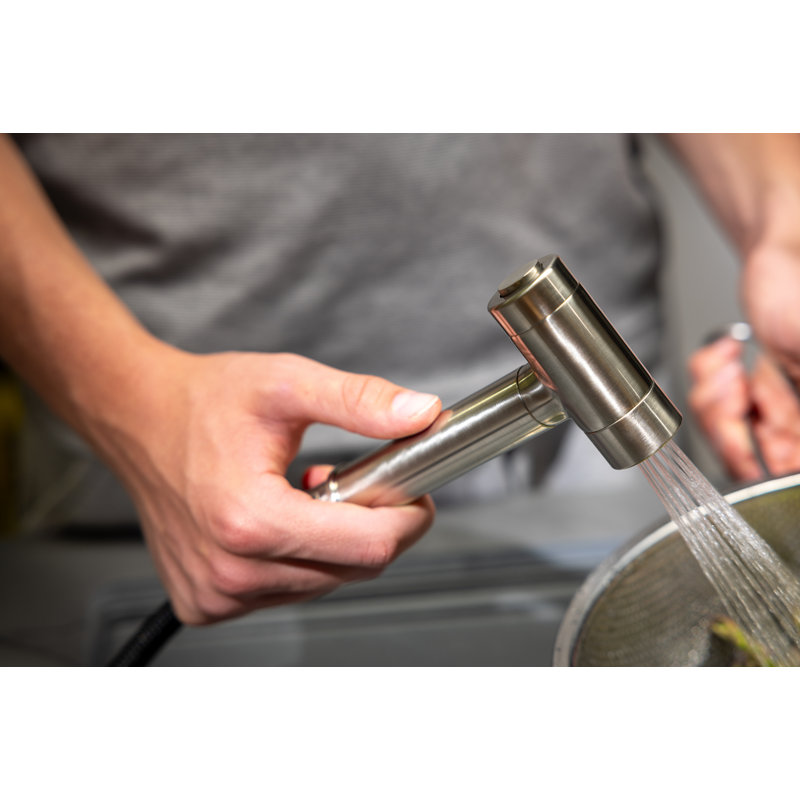 Click Modern Kitchen Hand Spray, Brushed Nickel