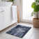 Chayil Area Rug with Non-Slip Backing
