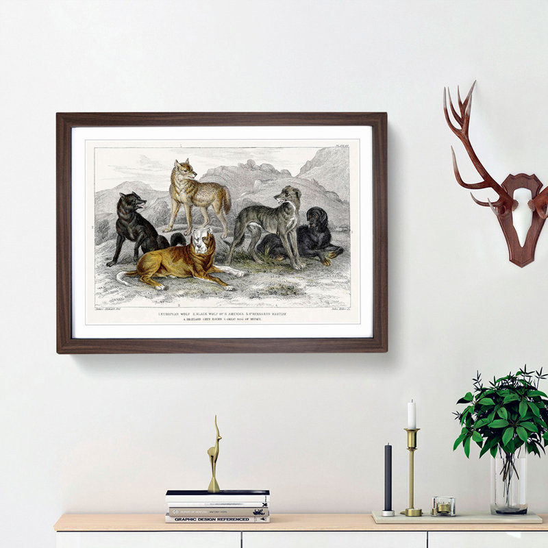 Wolves & Hounds by Oliver Goldsmith - Picture Frame Painting Print, 27cm H x 36cm W x 2cm D, Walnut Framed