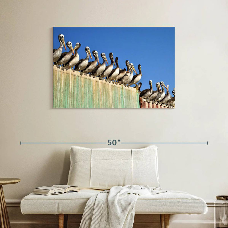 Brampt Pelican Party, 26" H x 39" W