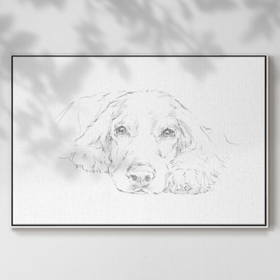 Lazy Dog II