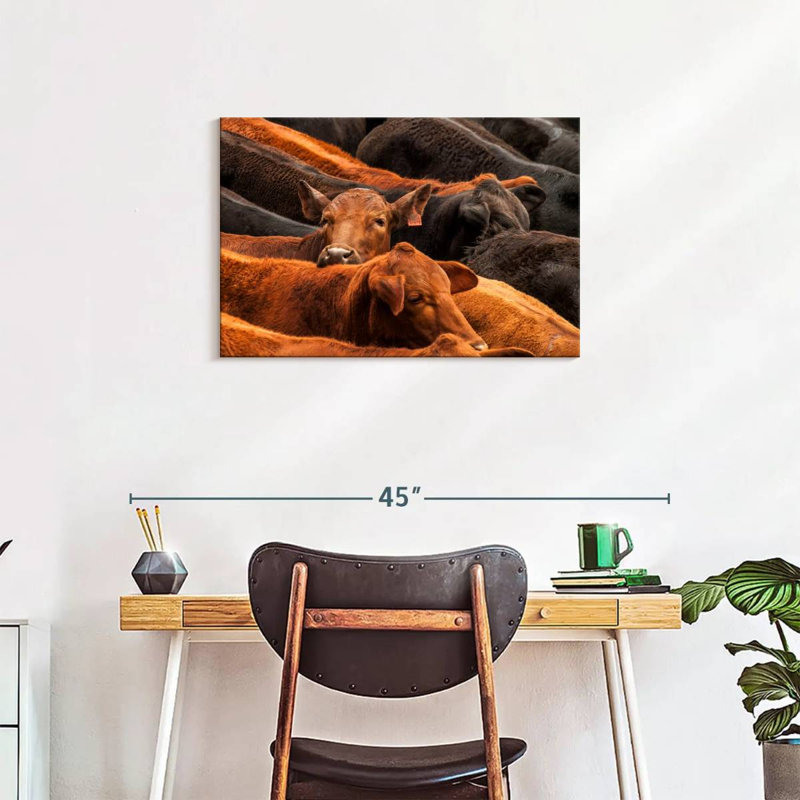 Beef Cattle, 20" H x 30" W