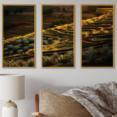 Succulent Sunset Field In Texas I - Succulent Wall Art Print Set