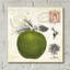 «Apple Notes» par Studio Mousseau-1784476038