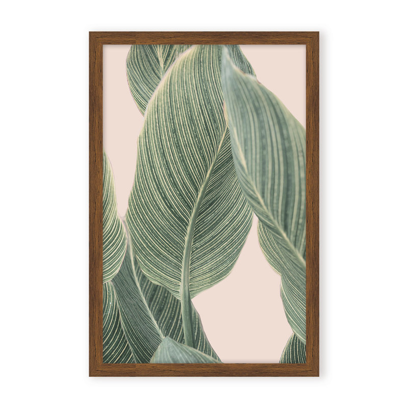 Coastal Retreat Calla Leaf by  - Picture Frame Graphic Art on Paper, 24" H x 16" W x 1.125" D, Framed Matted Print, Beige