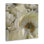 «Curled Magnolia Petals», art mural sur toile par Carol Robinson