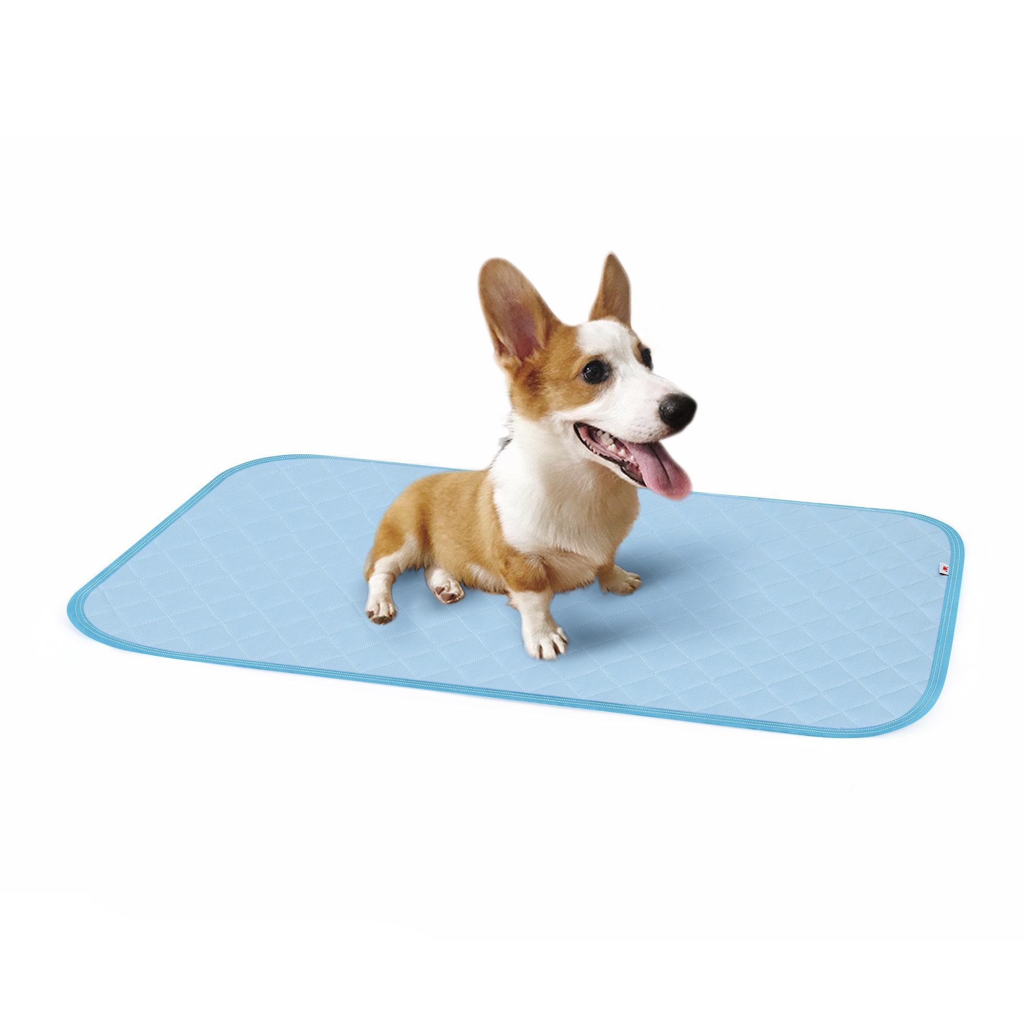 PAIGTEK Dog Cooling Mat - Extra Large Thicken Self Cooling Mat for Small  Medium Large Dogs,Easy Washable,Water Absorption Top,Materials Safe