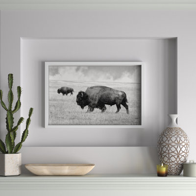 " Buffalo Pair " by Marmont Hill