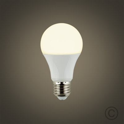 E27 LED Light Bulb