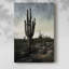 «King of the Desert», reproduction encadrée - galerie Cavas-725060556