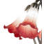 Tiffany Table Lamp-513563067-513563071