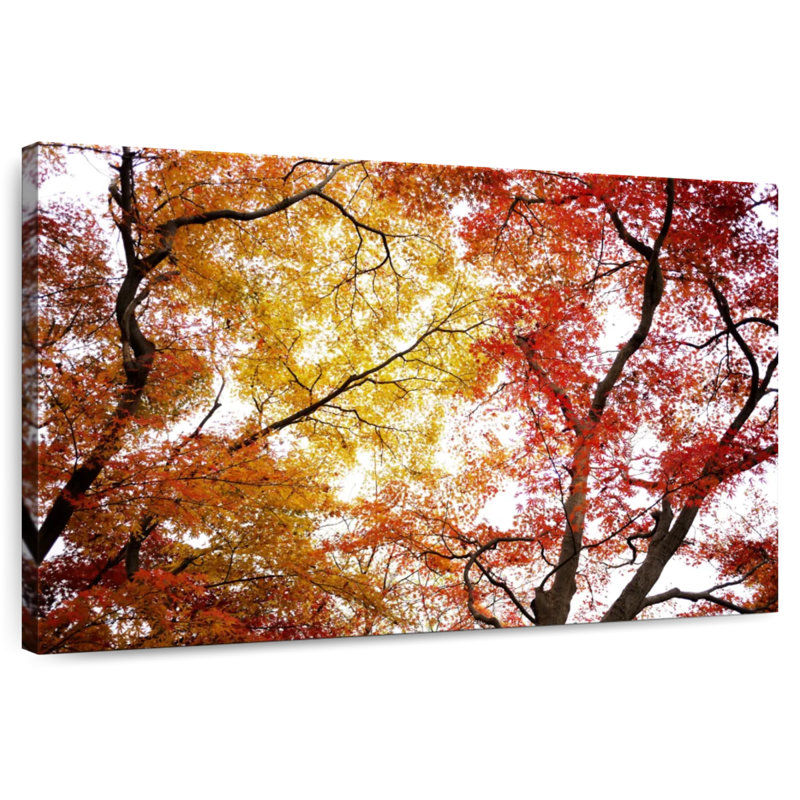 Harnek, feuilles d'automne ensoleillées, H 20 po x l 30 po