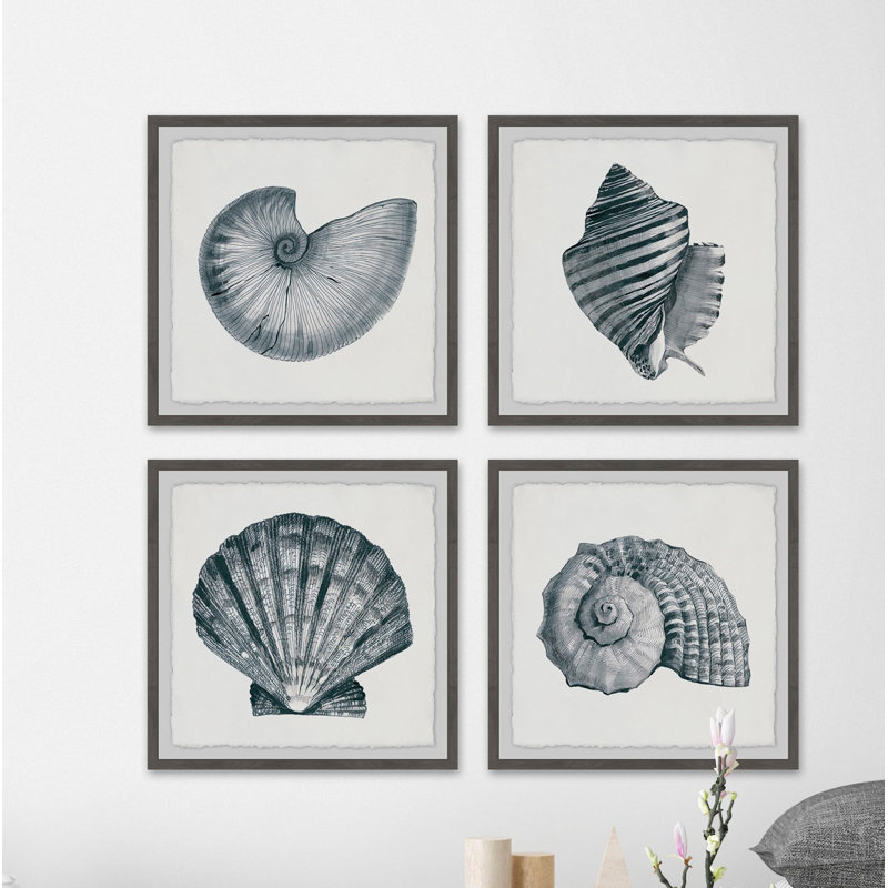 Coquillages gris - ensemble de 4 reproductions de photos, H 24 po x l 24 po x P 1,5 po