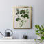 Toile encadrée de qualité supérieure «Forest Foliage on Linen IV» - prête à être accrochée-1955040877-1955040875