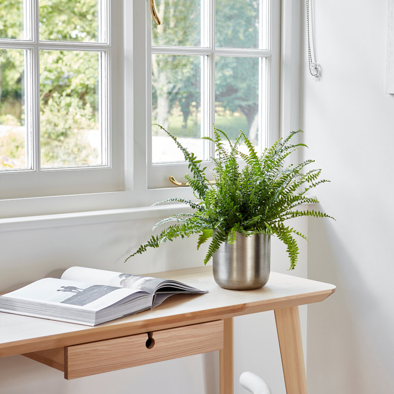 Indoor Metal Chelsea Planter, 20cm H x 20cm W x 20cm D, Pewter