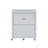 Makan 22'' Wide 2 -Drawer Mobile File Cabinet-1522722452