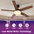 52" 5 - Blade Ceiling Fan With Light & Remote Control-219099398-219099397